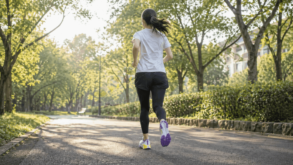 TIGORA FT5/36 モデル